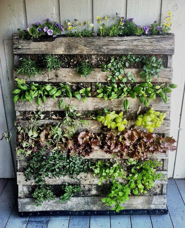100+ Surprising Garden Design Ideas You Should Not Miss 32 vertical planting 1 100+ Surprising Garden Design Ideas You Should Not Miss - 32 Garden Design Ideas