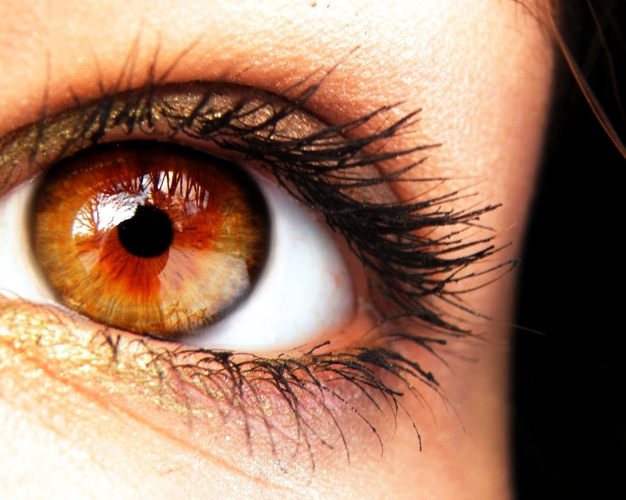 Amber-color 7 Rarest and Unusual Eye Colors That Looks Unreal