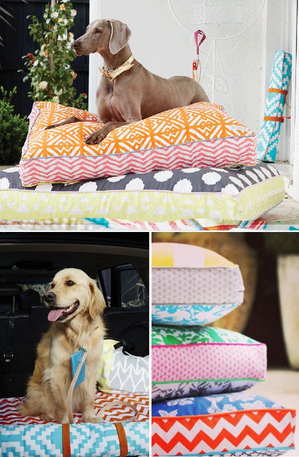 Colorful bed 1 +80 Adorable Dog Bed Designs That Will Surprise You - 12