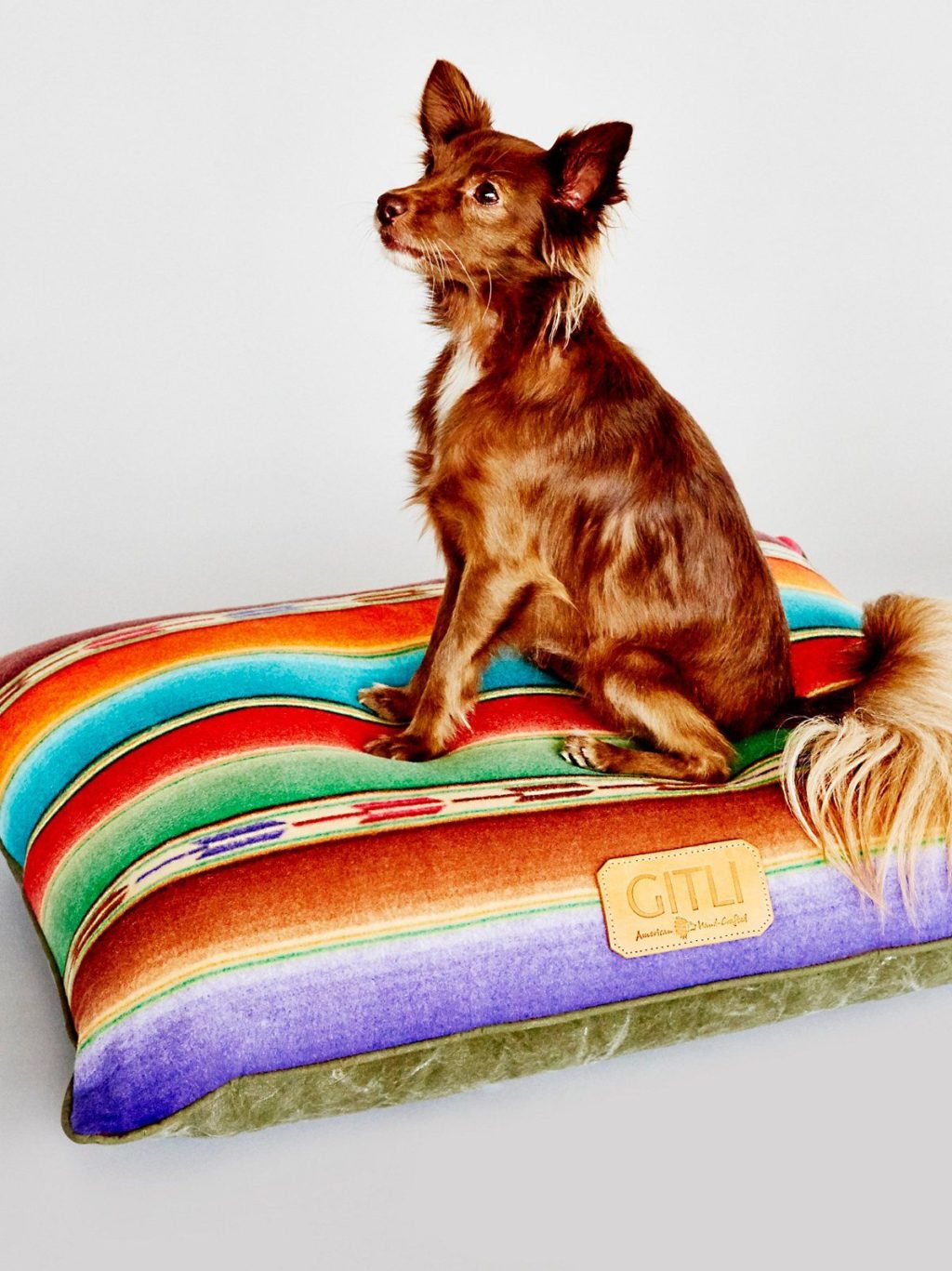 Colorful-bed-1024x1367 +80 Adorable Dog Bed Designs That Will Surprise You