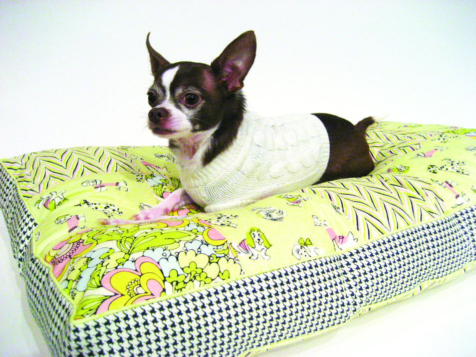 Colorful-bed.-2 +80 Adorable Dog Bed Designs That Will Surprise You