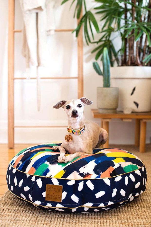 Colorful bed. +80 Adorable Dog Bed Designs That Will Surprise You - 7