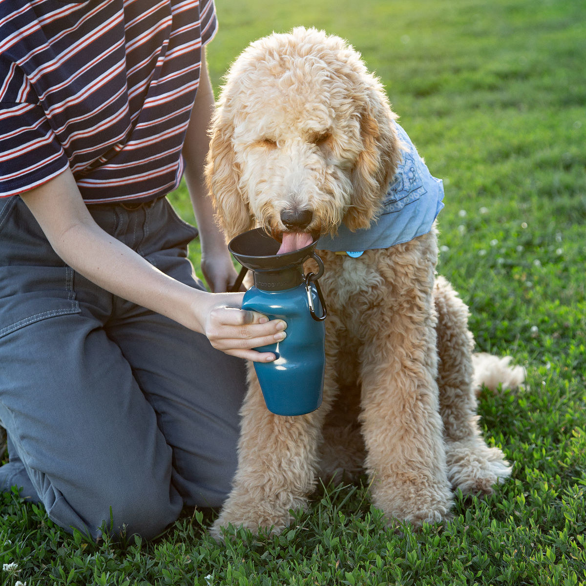 Dog bowl water bottle. 1 10 Unique Luxury Gifts for Dogs That Amaze Everyone - 19