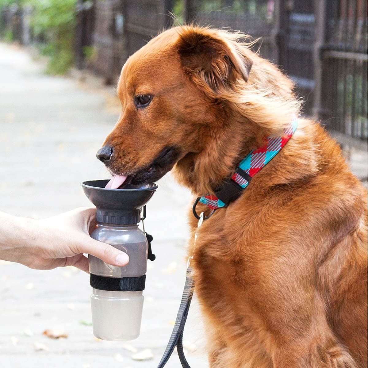 Dog-bowl-water-bottle 10 Unique Luxury Gifts for Dogs That Amaze Everyone