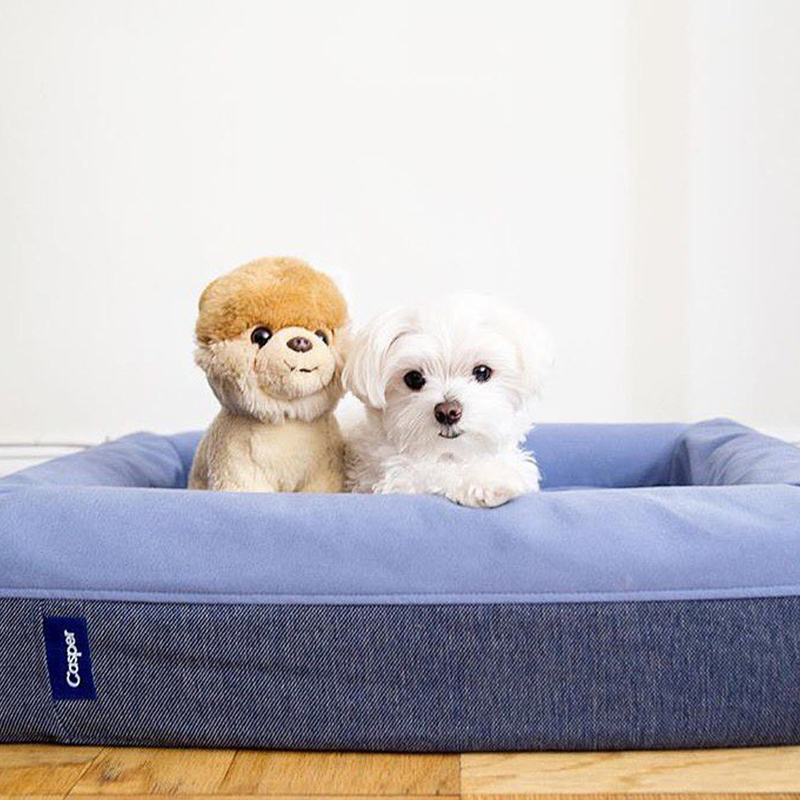 Dog-mattress. 10 Unique Luxury Gifts for Dogs That Amaze Everyone