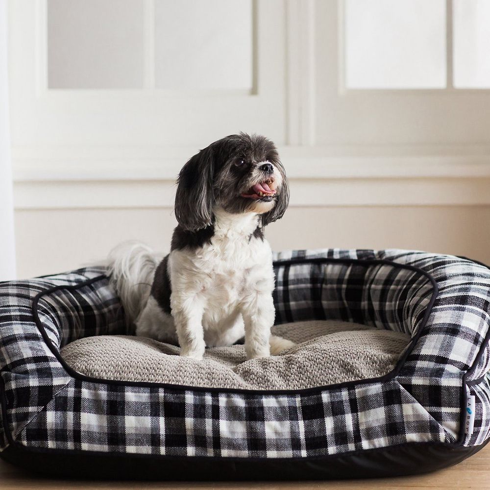 Doggie pillow. 1 +80 Adorable Dog Bed Designs That Will Surprise You - 15