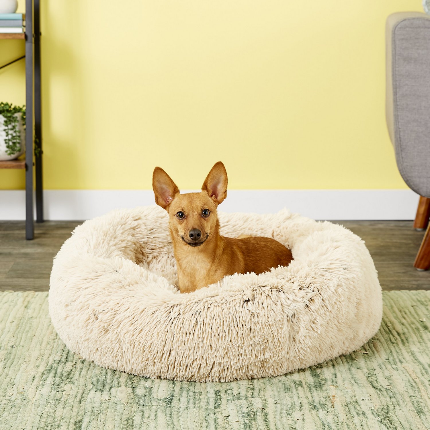 Doggie pillow. 2 +80 Adorable Dog Bed Designs That Will Surprise You - 14