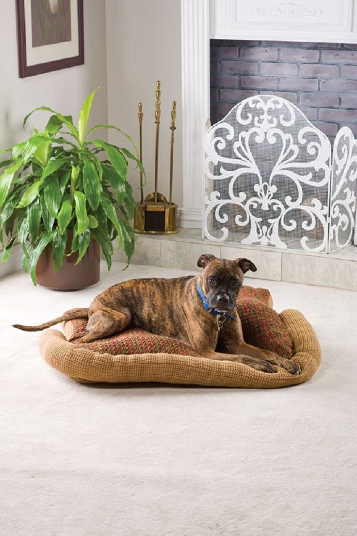 Doggie-pillow. +80 Adorable Dog Bed Designs That Will Surprise You