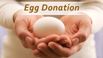 Egg donation – A Selfless Act For Helping Women 8 Egg Donation