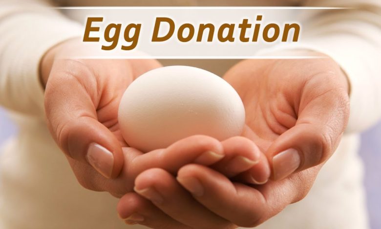 Egg Donation