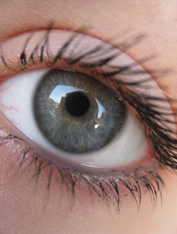 Grey 2 7 Rarest and Unusual Eye Colors That Looks Unreal - 9
