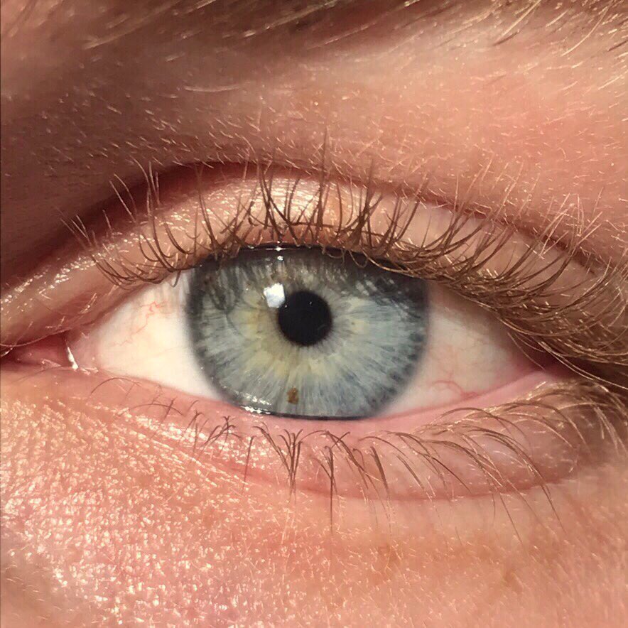 Grey 7 Rarest and Unusual Eye Colors That Looks Unreal
