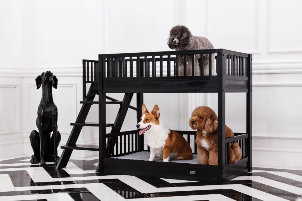 Ladder-bed-1024x683 +80 Adorable Dog Bed Designs That Will Surprise You