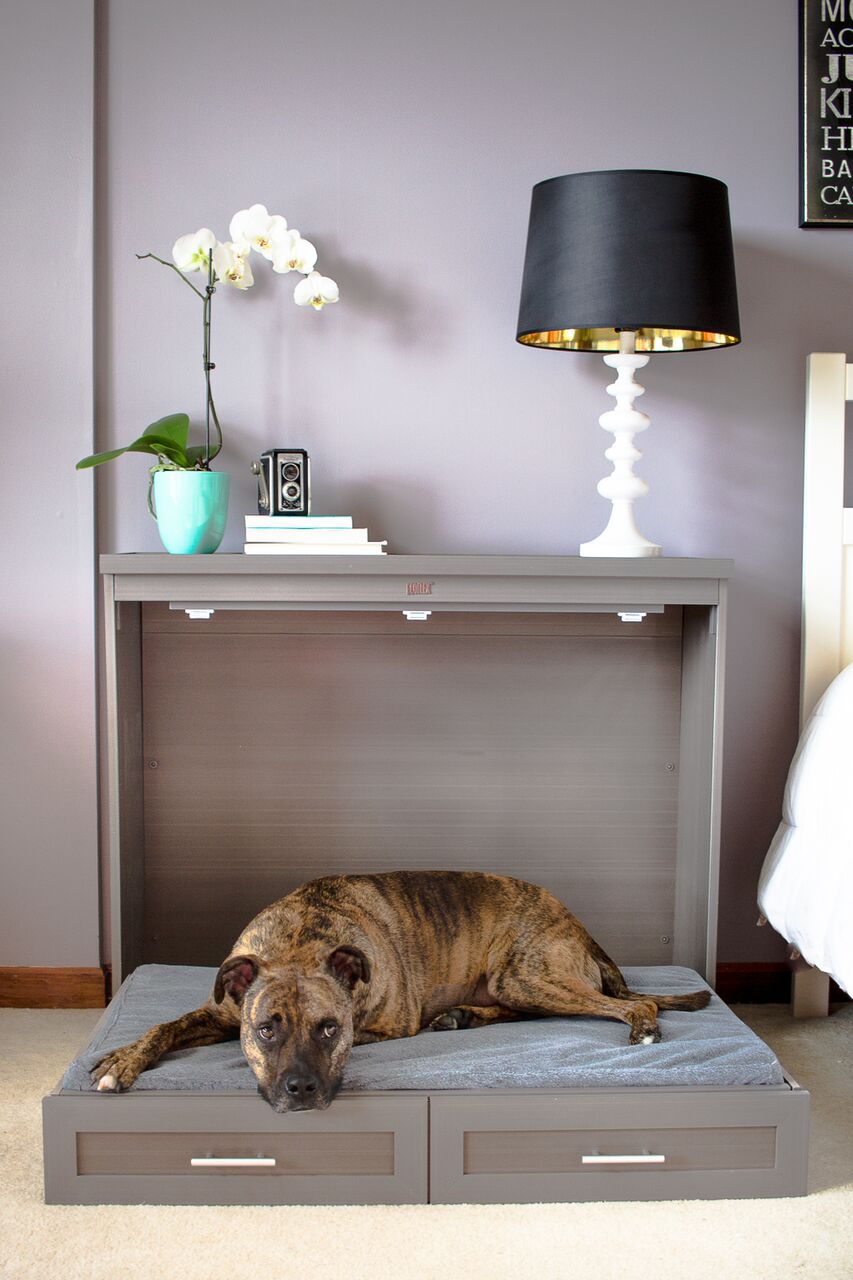 Murphy-bed. +80 Adorable Dog Bed Designs That Will Surprise You