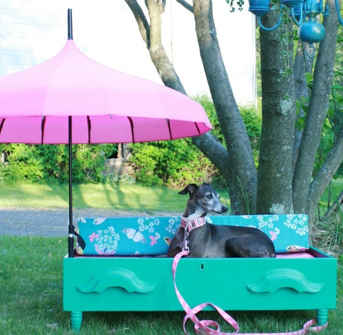 Pet-Bed +80 Adorable Dog Bed Designs That Will Surprise You