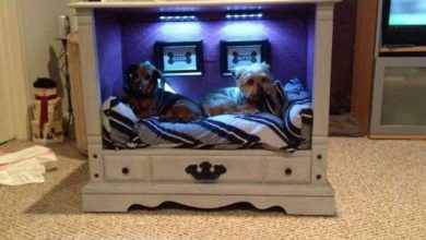 TV cabinet Dog Bed Design.. +80 Adorable Dog Bed Designs That Will Surprise You - 8