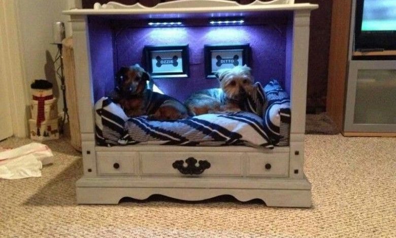TV cabinet Dog Bed Design.. +80 Adorable Dog Bed Designs That Will Surprise You - pets bed 1