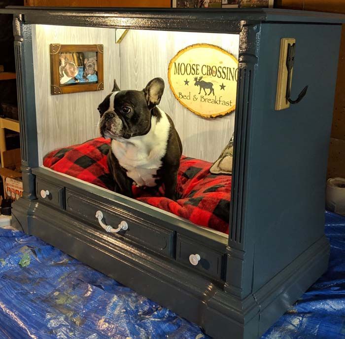 TV-cabinet-Dog-Bed-Design +80 Adorable Dog Bed Designs That Will Surprise You