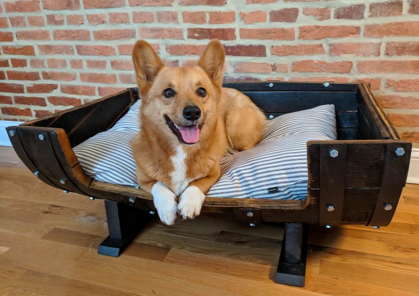 Wine barrel bed 1 +80 Adorable Dog Bed Designs That Will Surprise You - 39