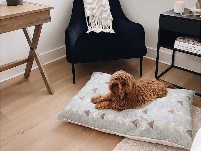 bed-cover 10 Unique Luxury Gifts for Dogs That Amaze Everyone