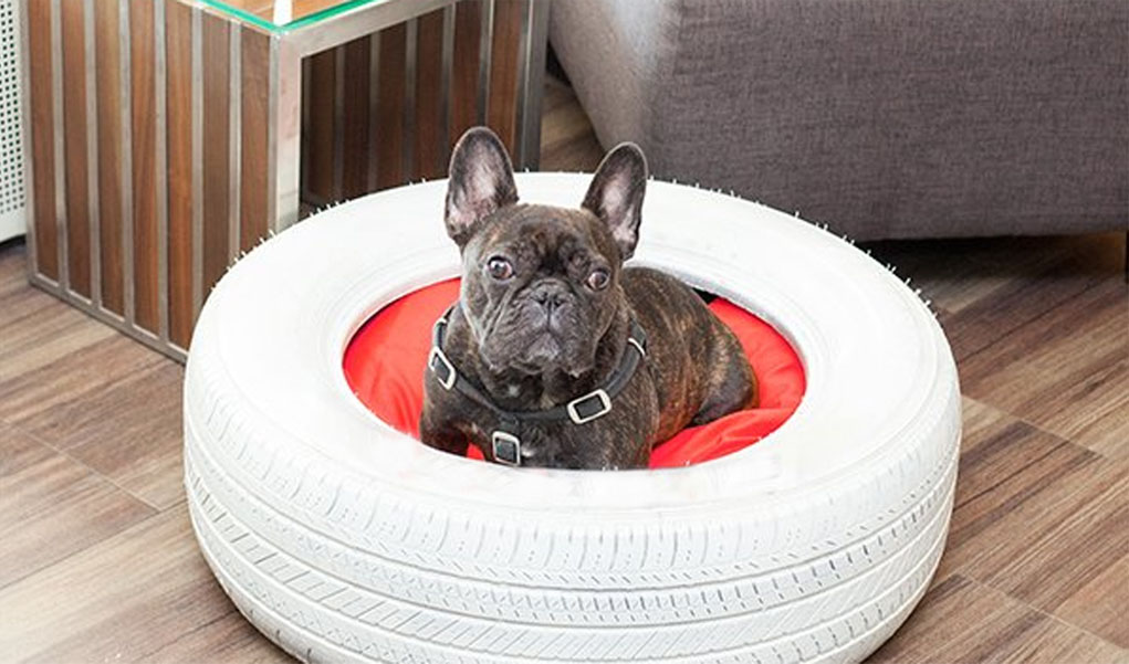 bed-tire-1 +80 Adorable Dog Bed Designs That Will Surprise You