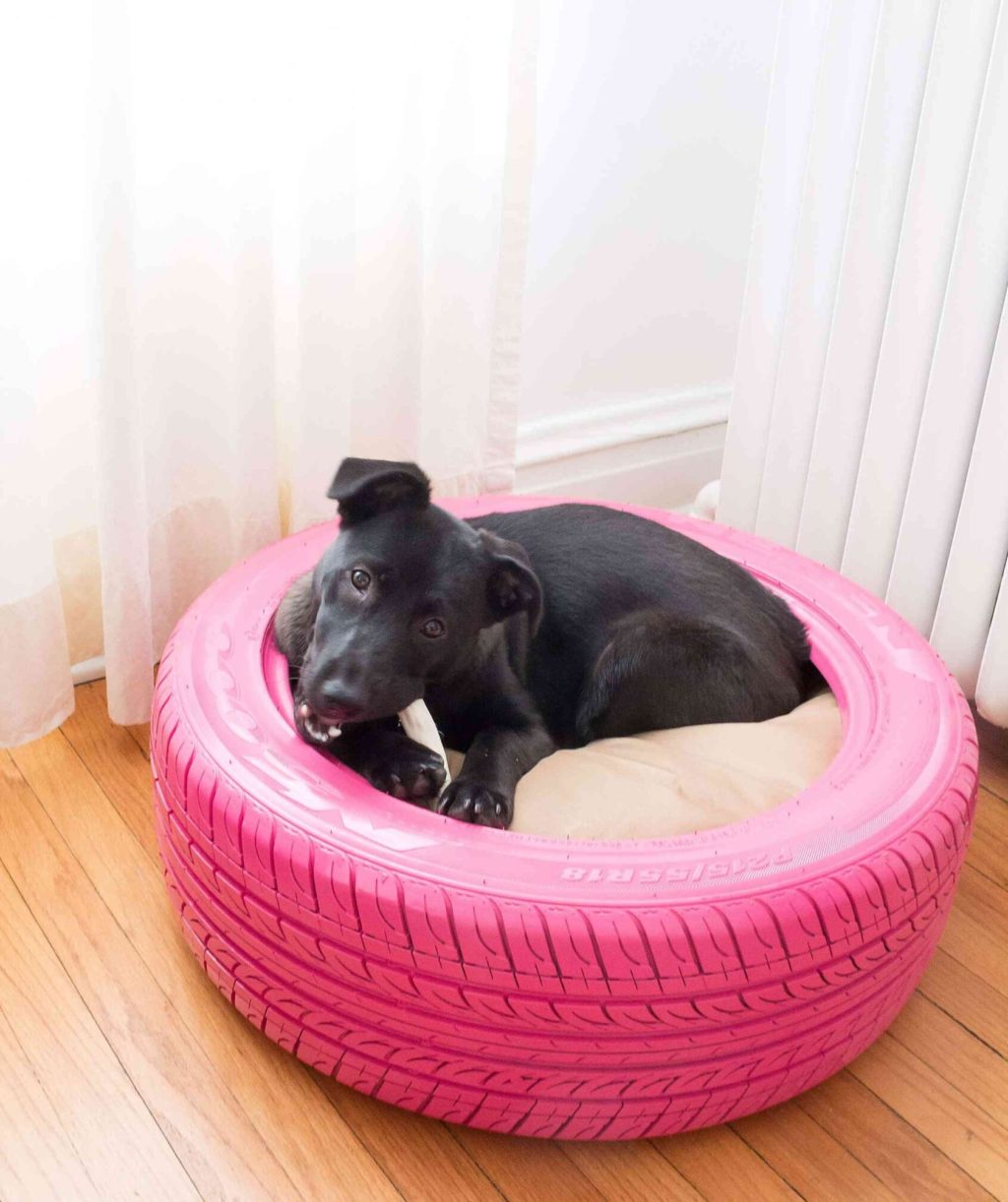 bed-tire.-1024x1222 +80 Adorable Dog Bed Designs That Will Surprise You
