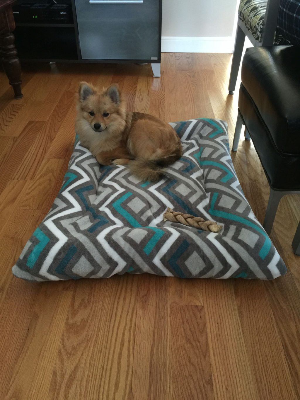 dog-beds-from-used-clothes.-1024x1365 +80 Adorable Dog Bed Designs That Will Surprise You