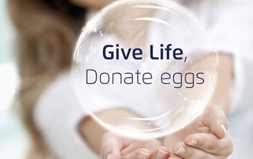 egg donation women Egg donation – A Selfless Act For Helping Women - 1