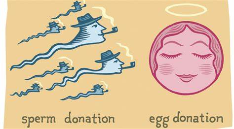 Egg donation – A Selfless Act For Helping Women 4 find the right donors
