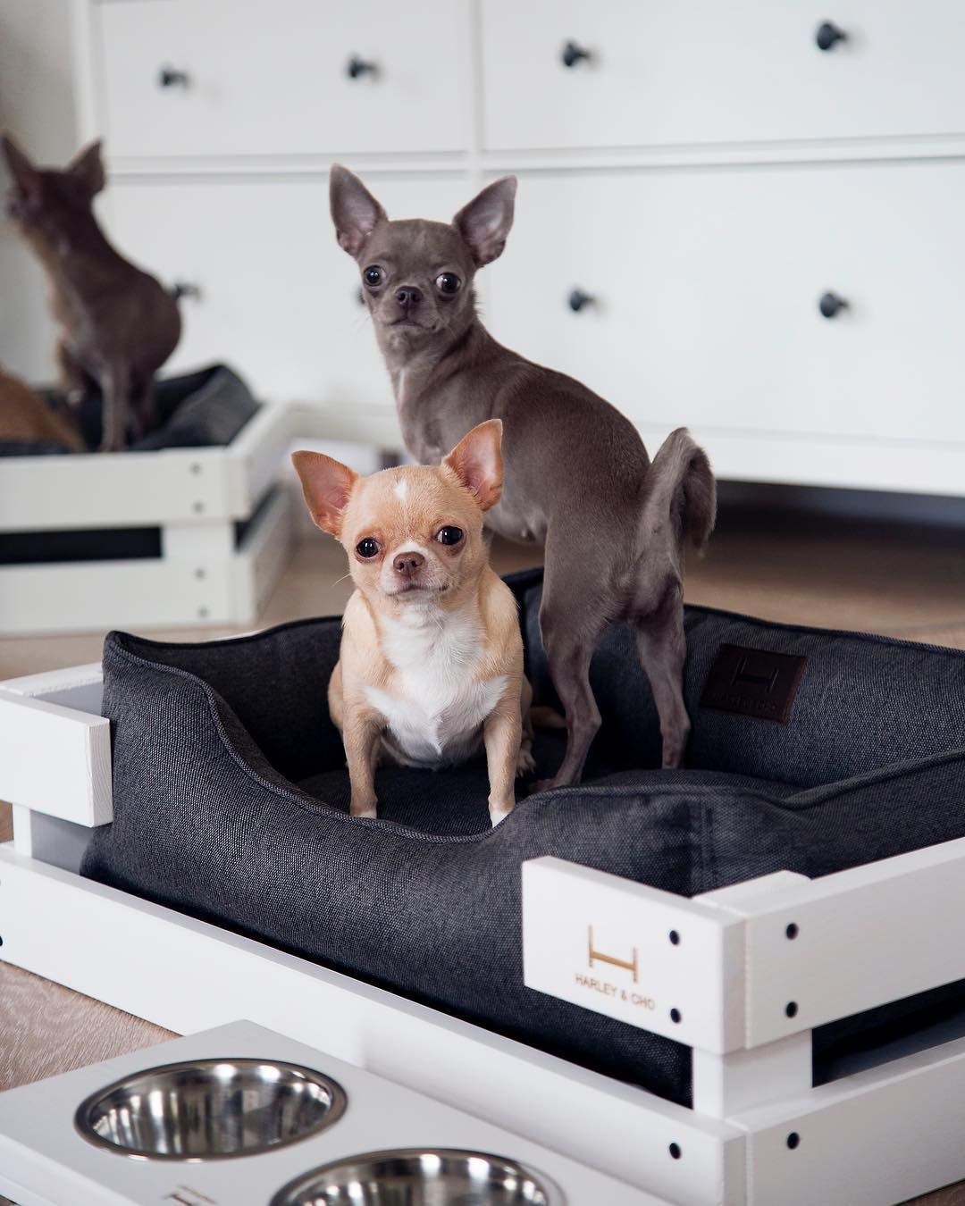 mini-pallet-bed-1 +80 Adorable Dog Bed Designs That Will Surprise You