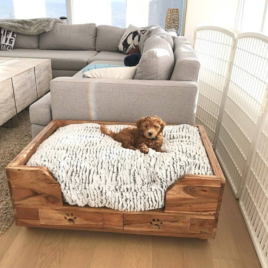 mini pallet bed. +80 Adorable Dog Bed Designs That Will Surprise You - 26