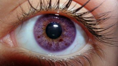 violet eye color 7 Rarest and Unusual Eye Colors That Looks Unreal - 8