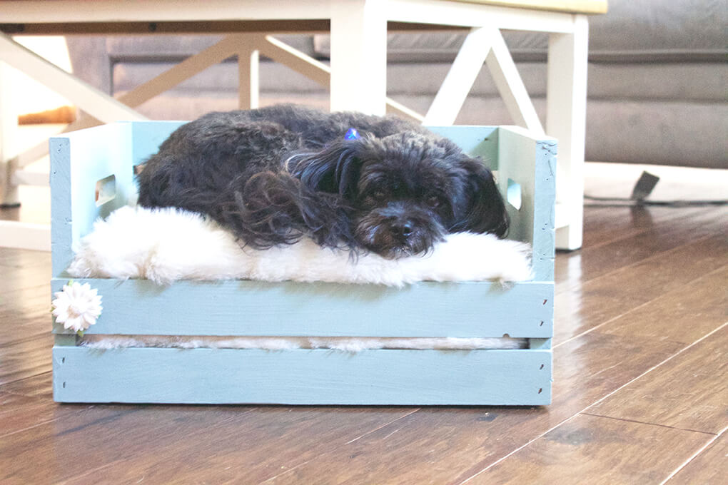 wooden-pallet-1 +80 Adorable Dog Bed Designs That Will Surprise You
