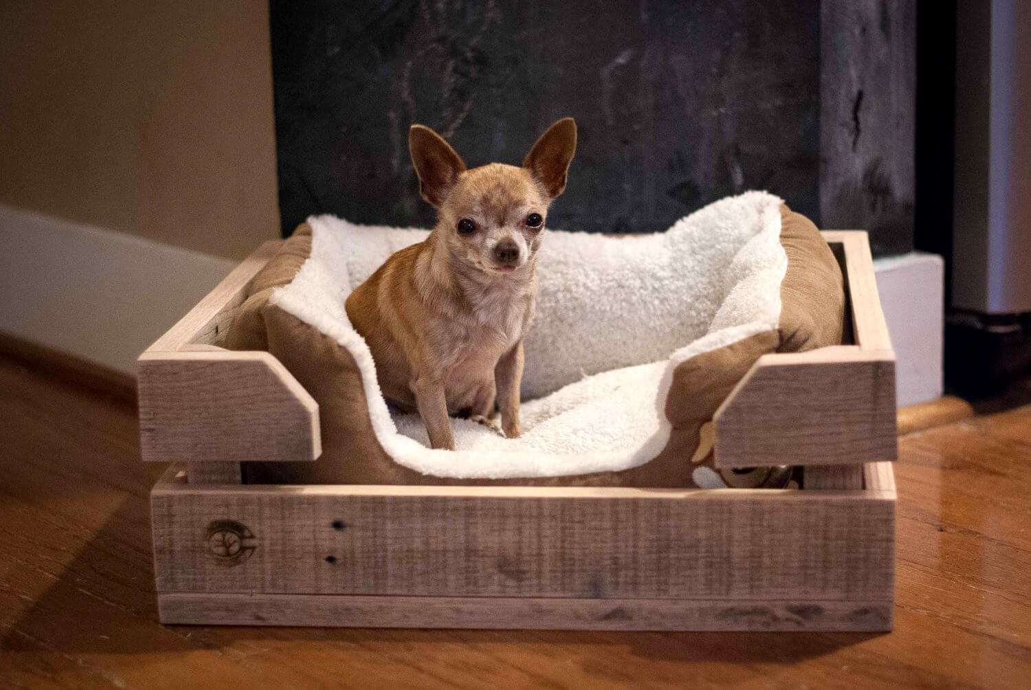 wooden-pallet.-1 +80 Adorable Dog Bed Designs That Will Surprise You