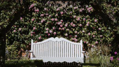garden furniture