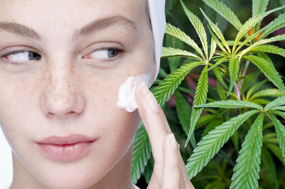 CBD-cream 3 Best CBD Products for Your Skin