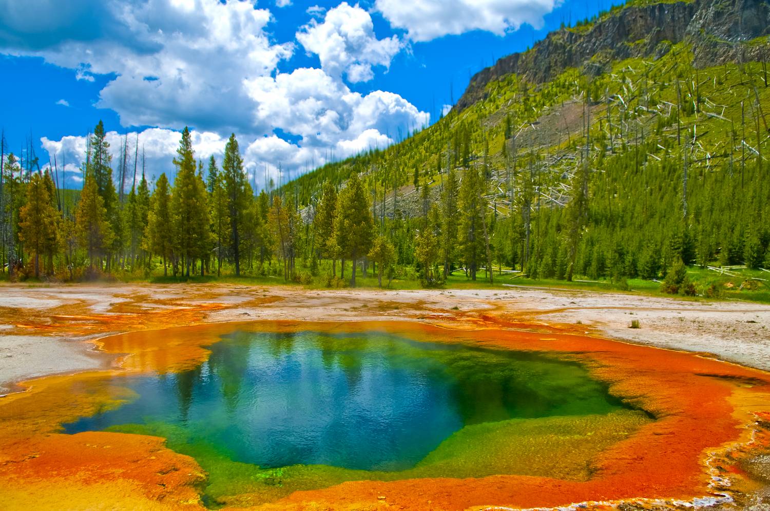 Yellowstone-National-Park-Wyoming. Top 5 Scenic Locations You Need to See For Yourself