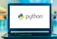 Python programmers online