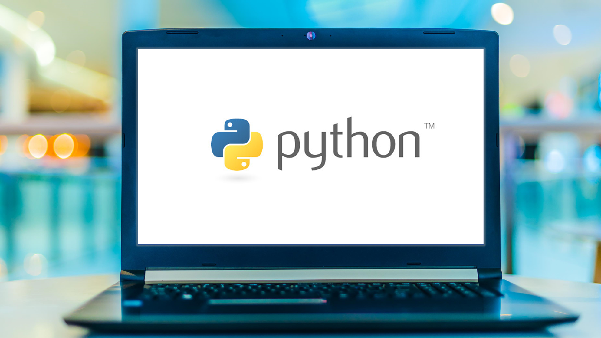 Python programmers online