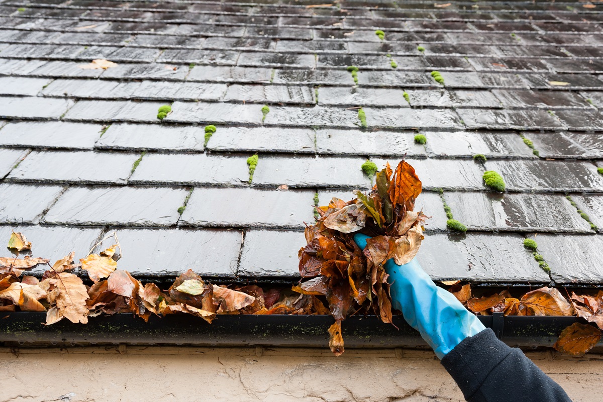 Keep-Gutters-Clean A List of Ways to Keep Your Home Feeling Happy and Healthy This Year