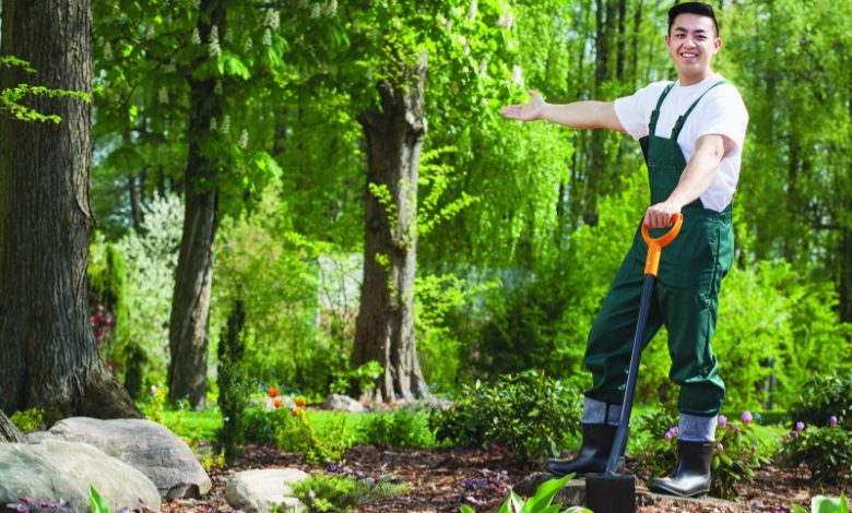 Landscaper. Main Reasons for British Youth to Become a Landscaper - invest in your career in landscaping 1