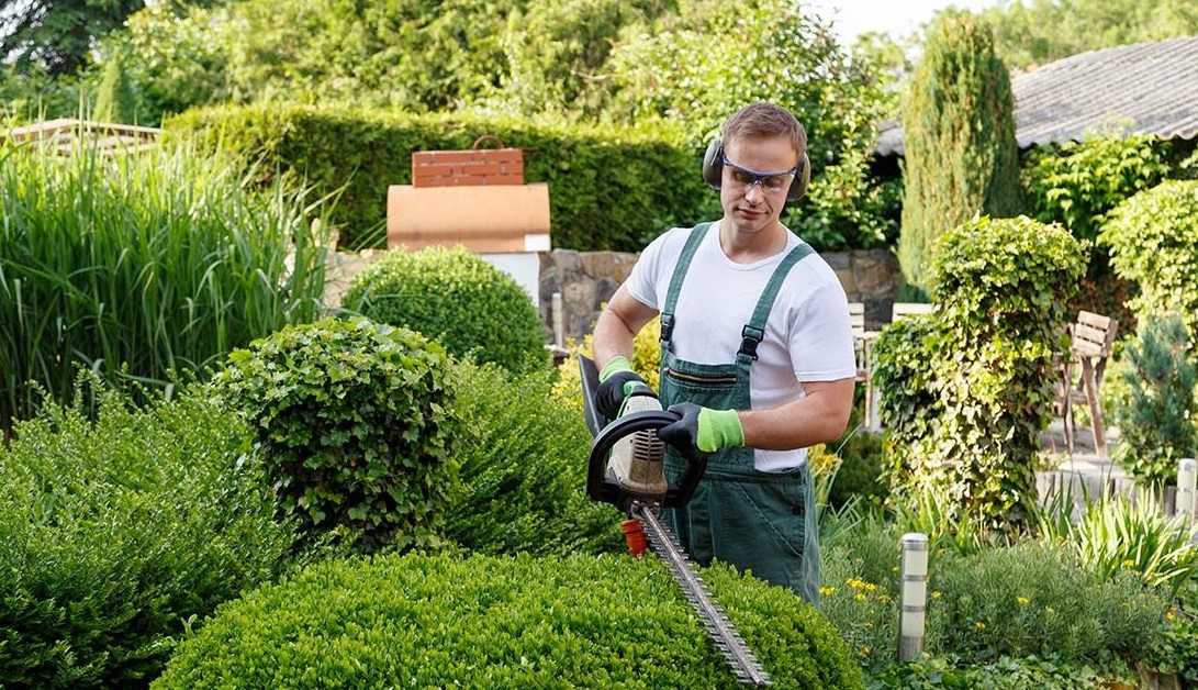 Landscaper.. Main Reasons for British Youth to Become a Landscaper