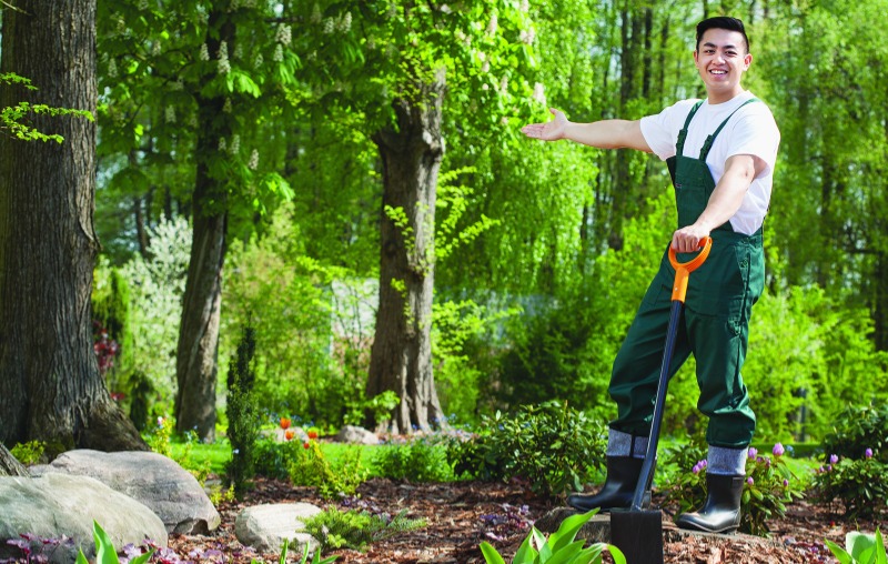 Landscaper. Main Reasons for British Youth to Become a Landscaper