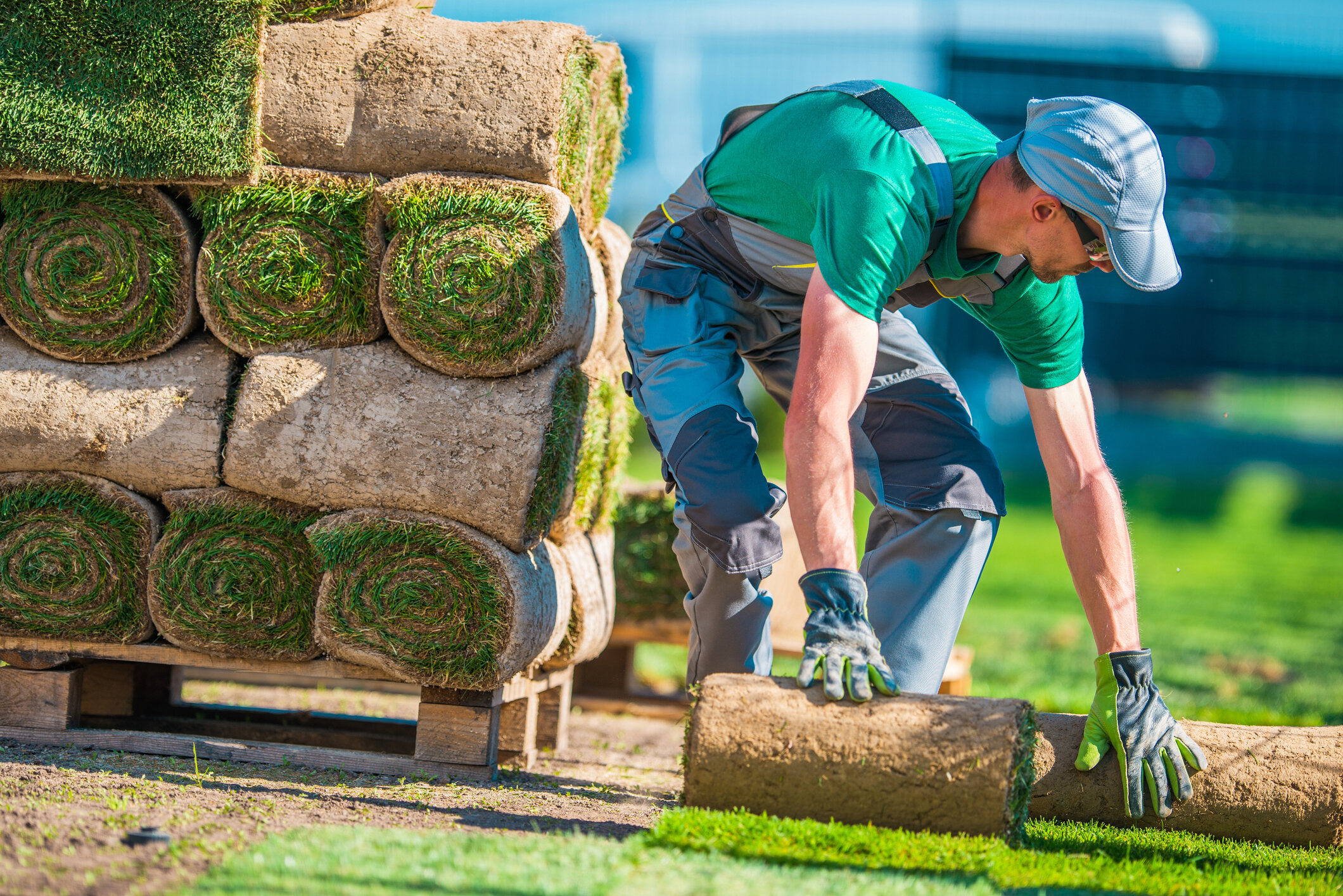 Landscaper Main Reasons for British Youth to Become a Landscaper