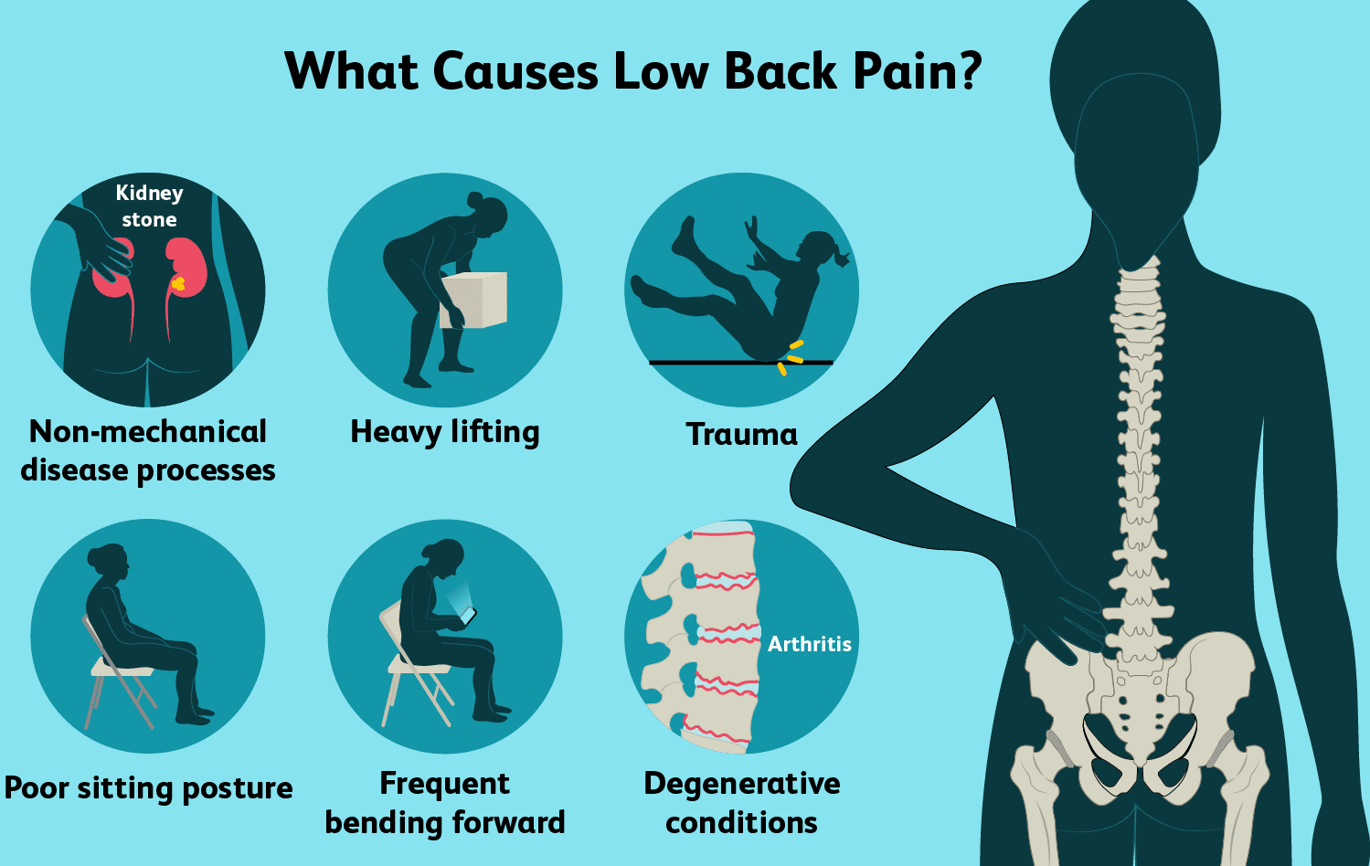 Causes-of-lower-back-pains Lower Back Issues at Age 50+ and How to Overcome Them: Premia Spine TOPS System