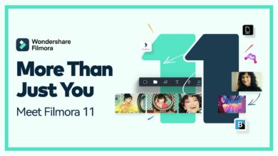 Filmora11 Wondershare Filmora - The Best Software for Creators to Make a Stylish Video - 6