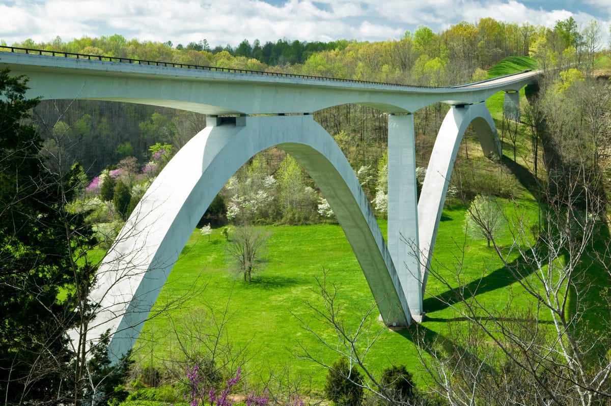 Natchez-Trace 4 Scenic Hiking Trails in Nashville for Your Next Outdoor Adventure