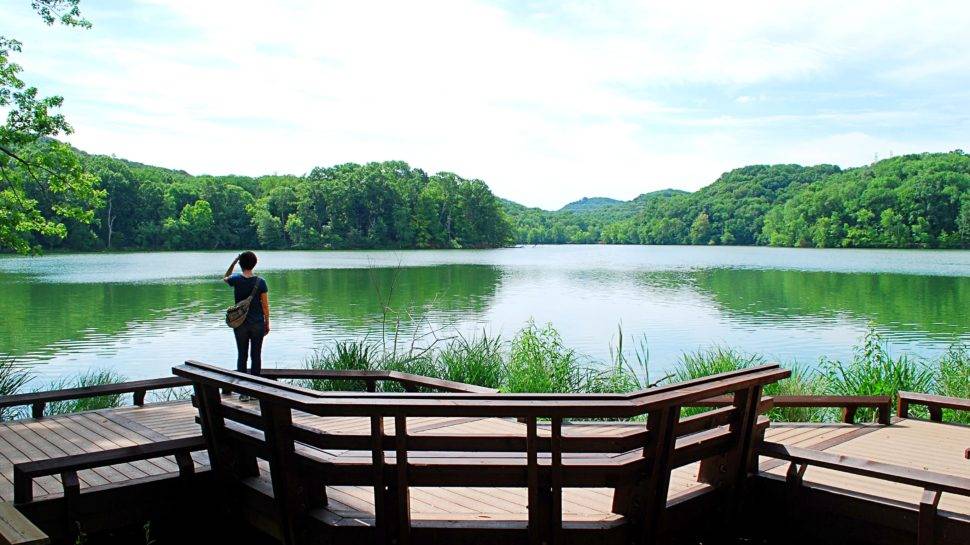 Radnor-Lake-State-Park 4 Scenic Hiking Trails in Nashville for Your Next Outdoor Adventure