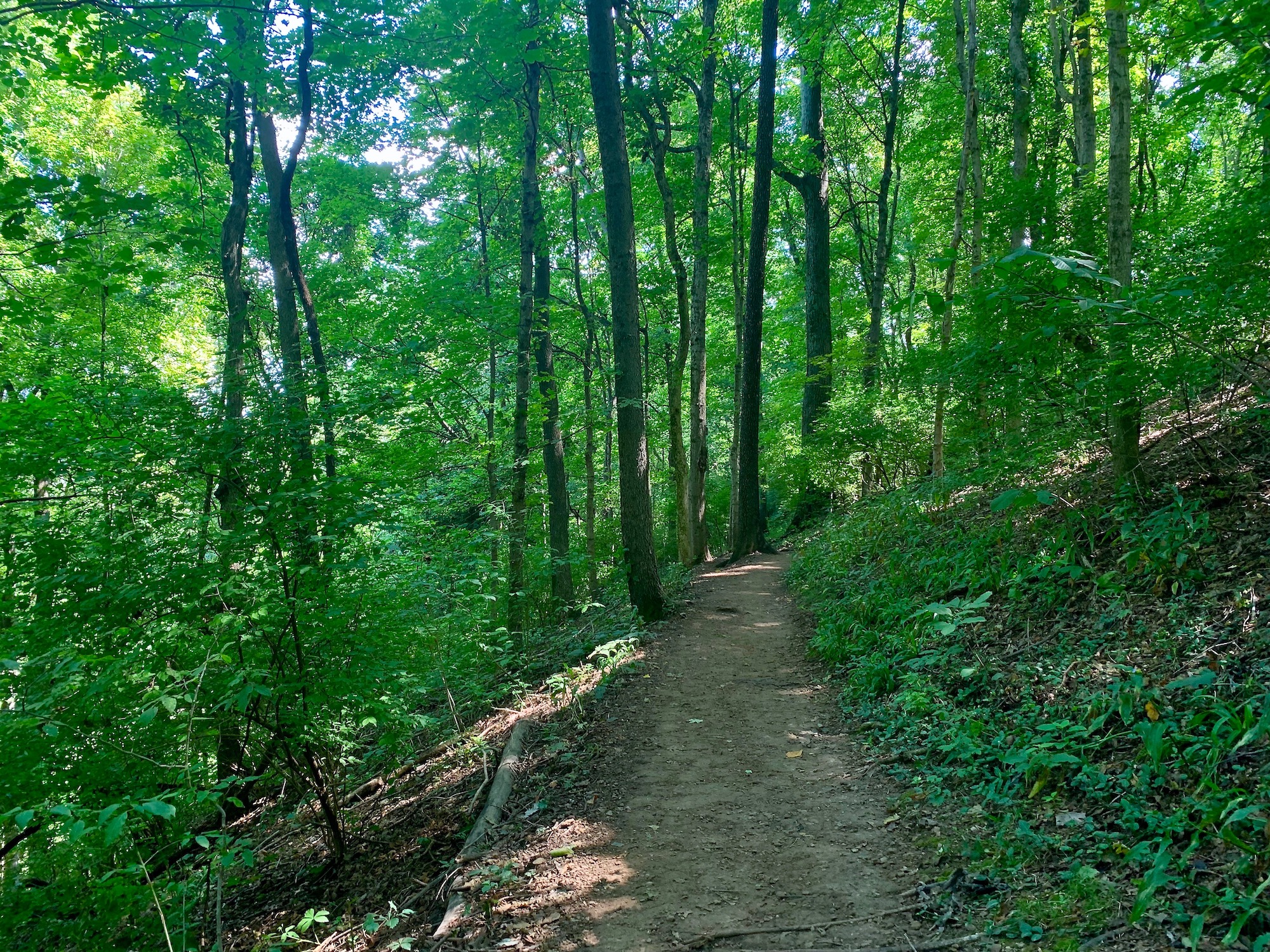 Warner-Woods-Trail 4 Scenic Hiking Trails in Nashville for Your Next Outdoor Adventure