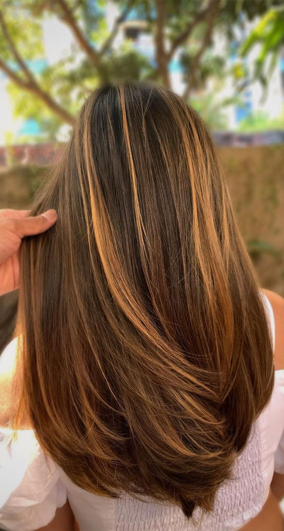 Caramel-Highlights-2 Top 75+ Hair Color Ideas for Women in 2022
